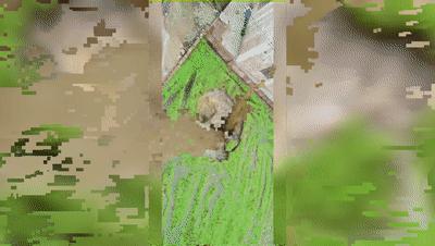 DƬ